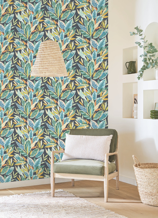 Ficus - Blue Ficus - Blue