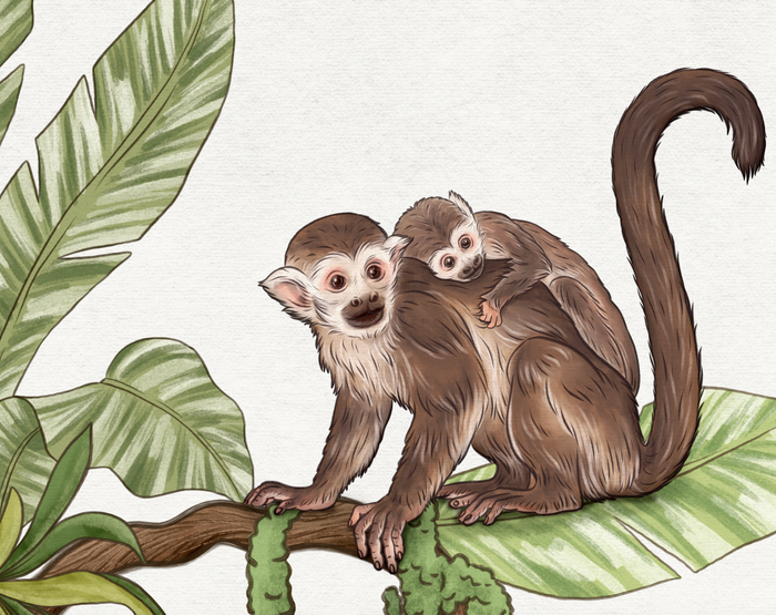 Mural - Playful Monkeys White (Per Sqm)
