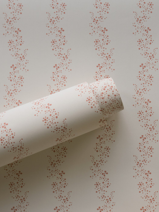 Airy Fairy - Pale Tomato