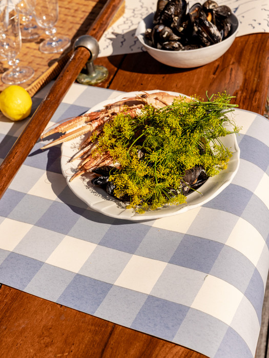 Picnic - Faded Denim