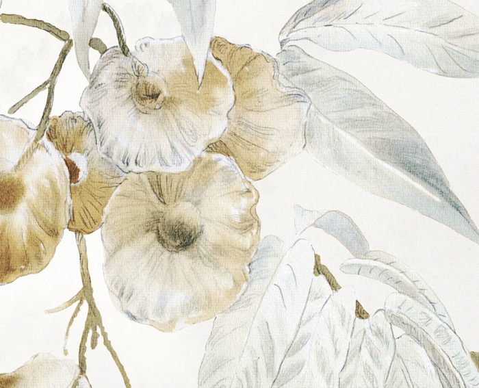 Mural - Australian Flora (Per Sqm)