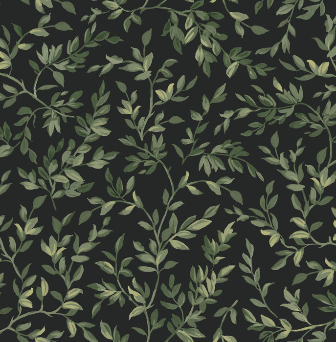 Archivist’s Leaf - Night