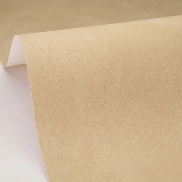 Plain Matte - Cafe Latte