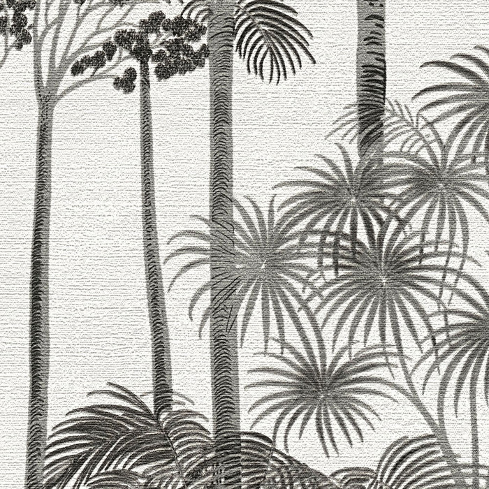 Palm Sanctuary - Monochrome