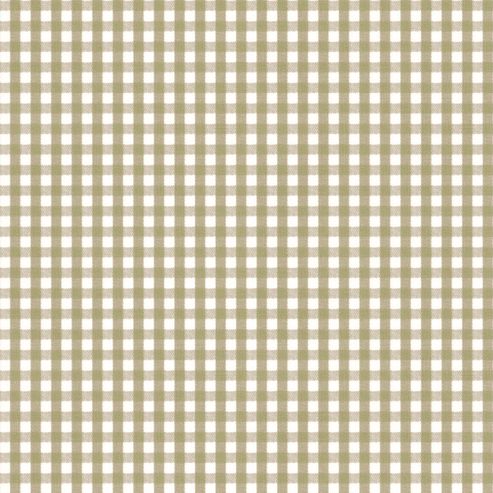 Gingham Charm - Green