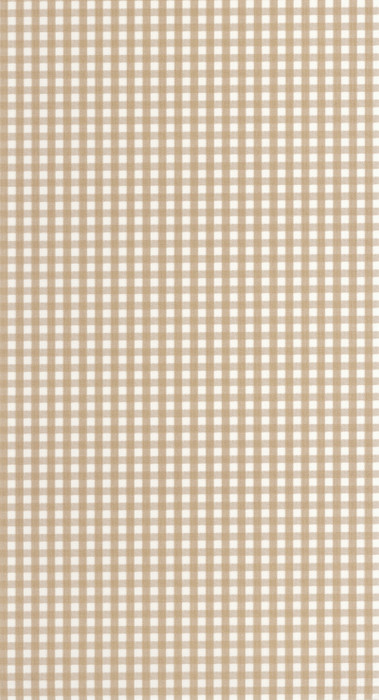 Gingham Charm - Camel