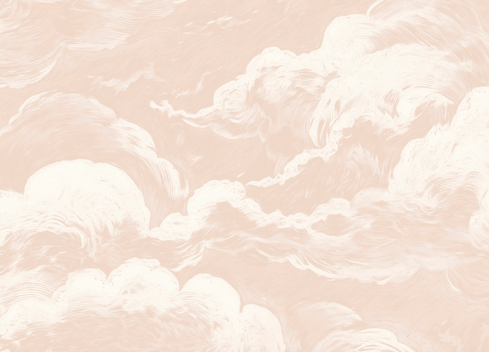 Mural - Cloud Relief Salmon (Per Sqm)