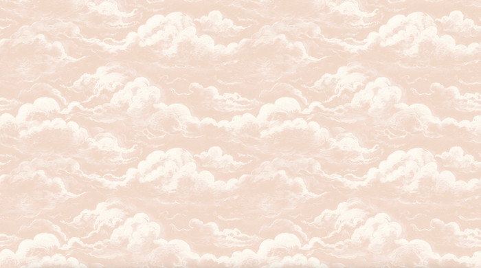 Mural - Cloud Relief Salmon (Per Sqm)