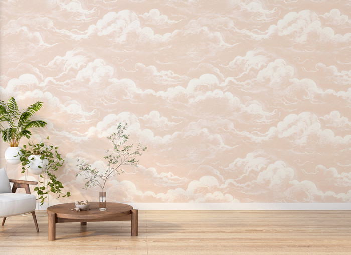 Mural - Cloud Relief Salmon (Per Sqm)