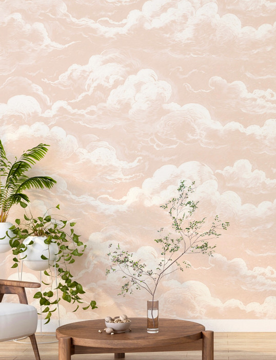 Mural - Cloud Relief Salmon (Per Sqm)