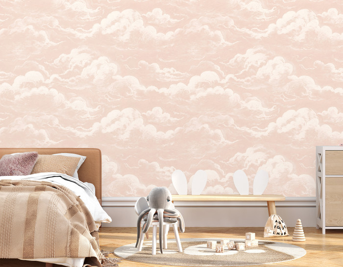 Mural - Cloud Relief Salmon (Per Sqm)