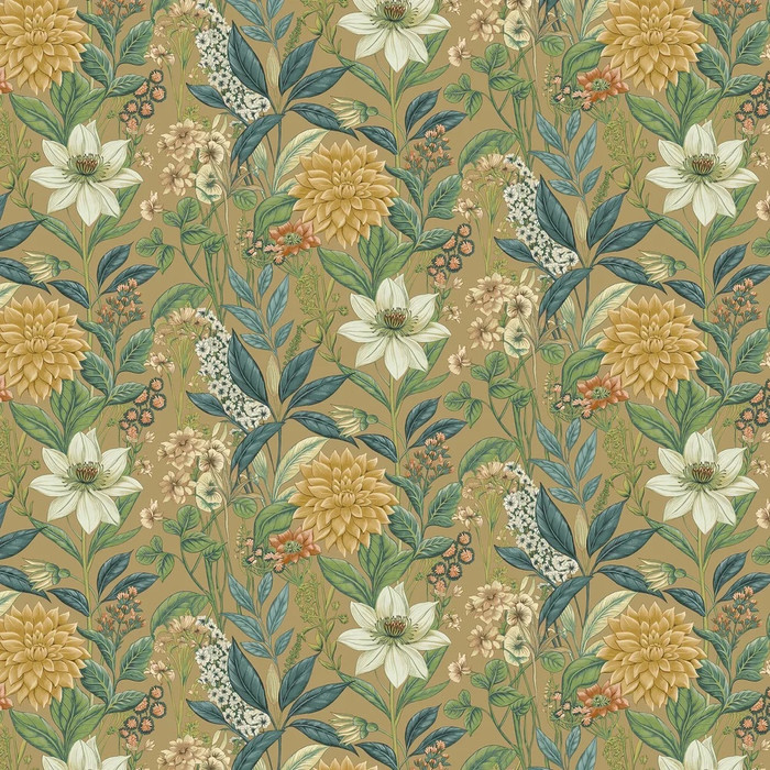 Clematis - Gold