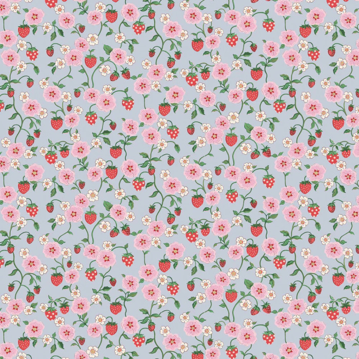 Strawberry - Summer