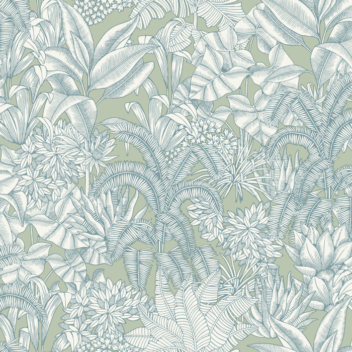 Palmaris - Green / Blue