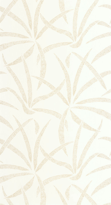 Filara - Neutral