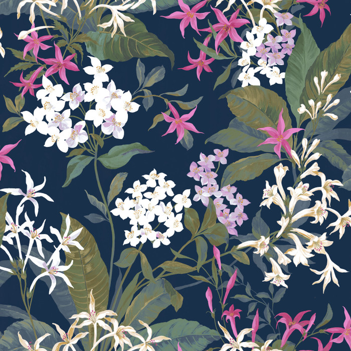 Songe De Jasmin - Fuchsia