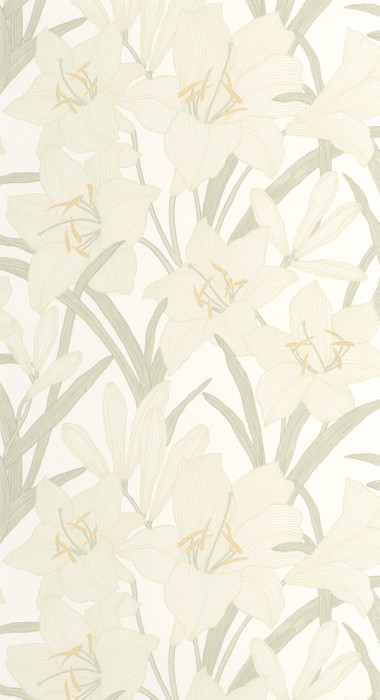 Clair De Lys - Almond Green