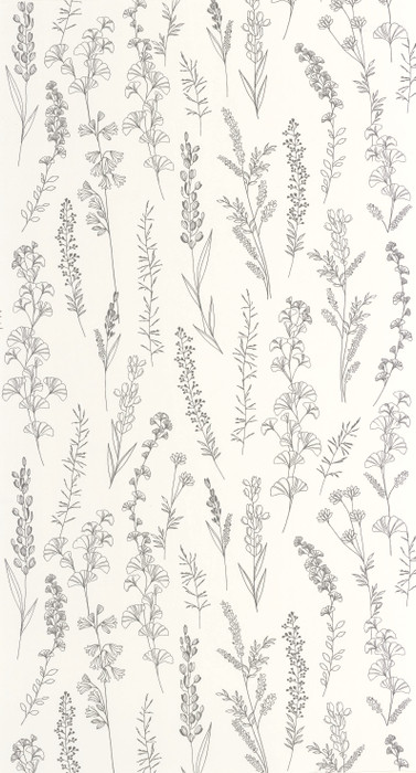 Carnet Botanique - Monochrome