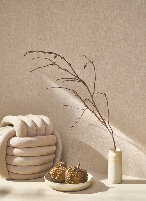 Caractere - Taupe