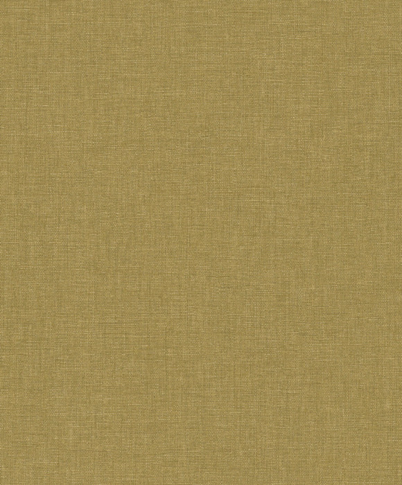 Caractere - Olive