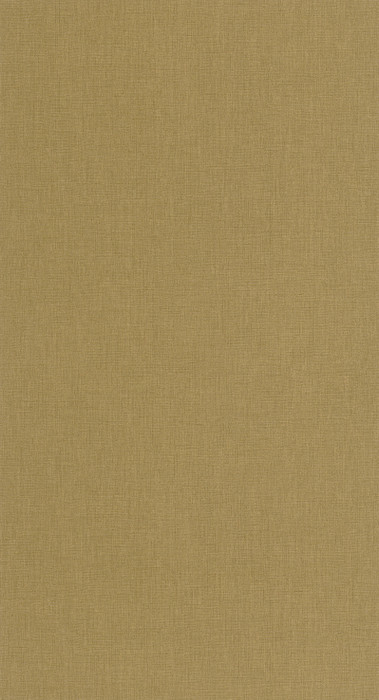 Caractere - Olive