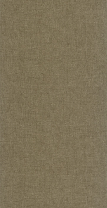 Caractere - Dark Khaki