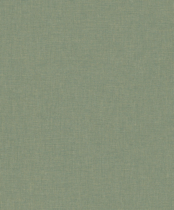 Caractere - Eucalyptus
