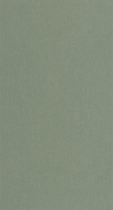 Caractere - Eucalyptus