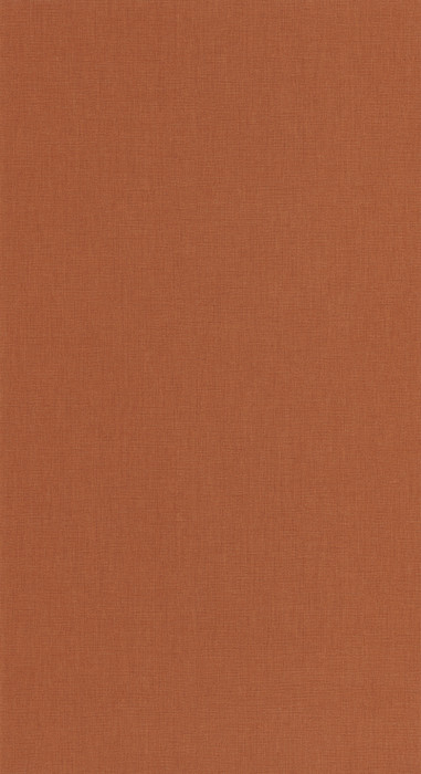 Caractere - Rust
