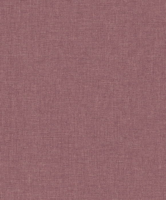 Caractere - Aubergine