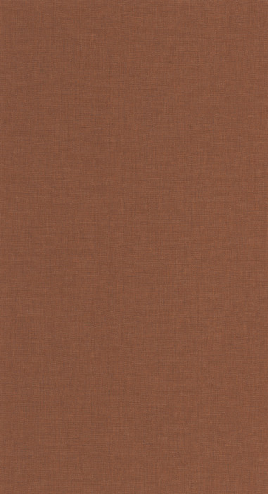 Caractere - Hazelnut