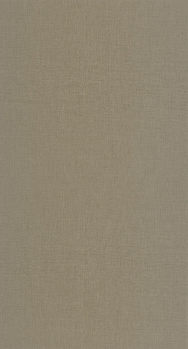 Caractere - Elephant Grey