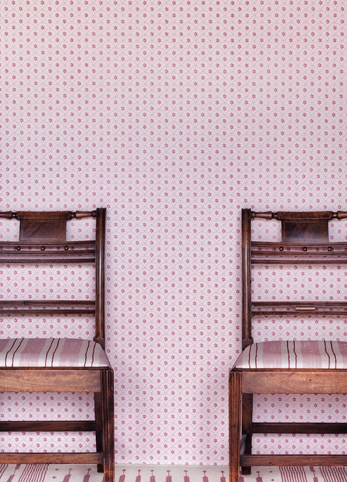 Daisy Scallops - Pink / Red