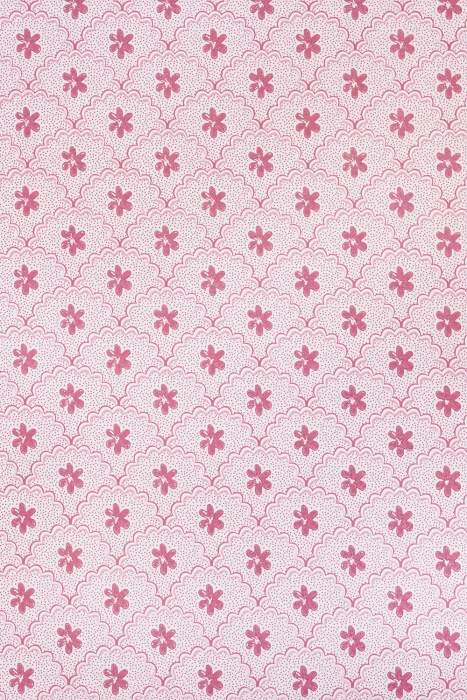 Daisy Scallops - Pink / Red
