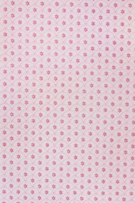 Daisy Scallops - Pink / Red