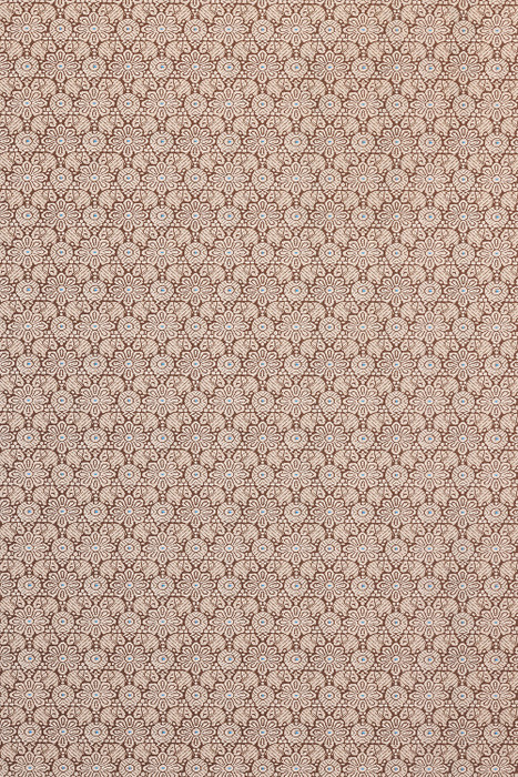 Indian Elephant - Chocolate / Blush