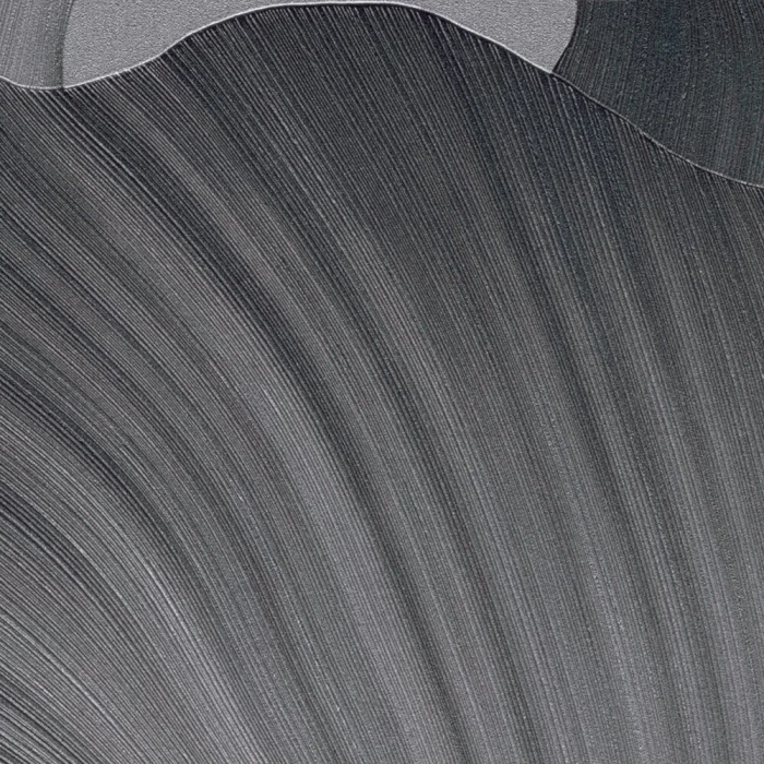 Serene Petals - Charcoal