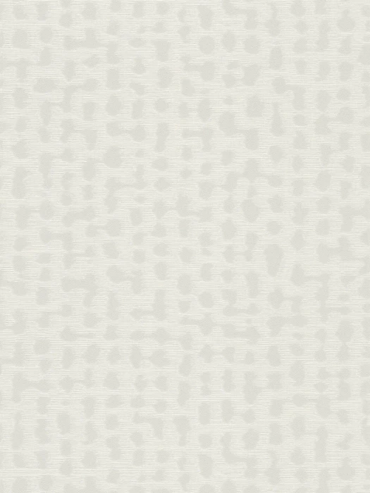 Axion - Grey / White