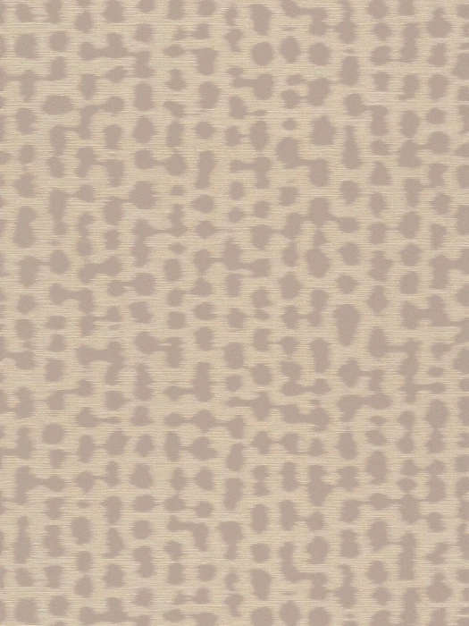 Axion - Neutral