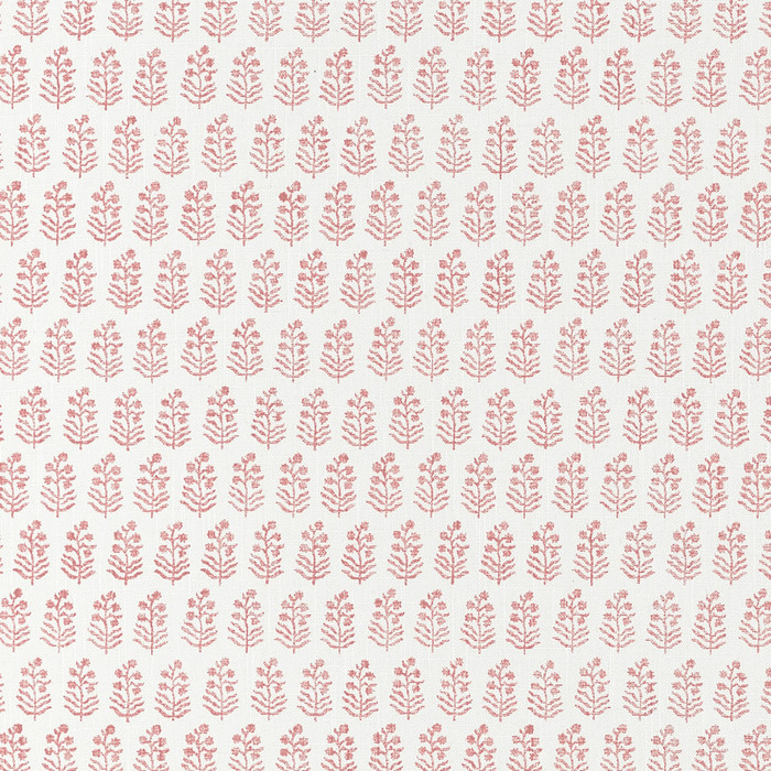 Chloe - Blush