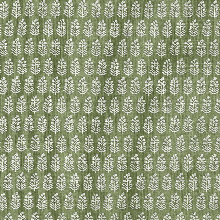 Chloe - Green