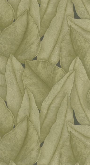 Escale - Green