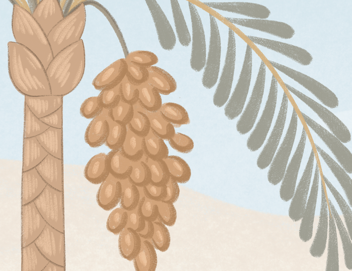 Mural - Oasis Island Fresh (Per Sqm)