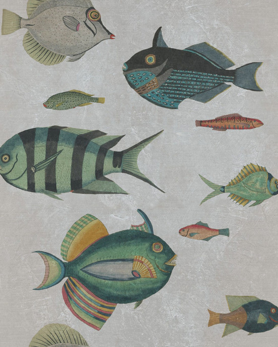 Poissons - Grey