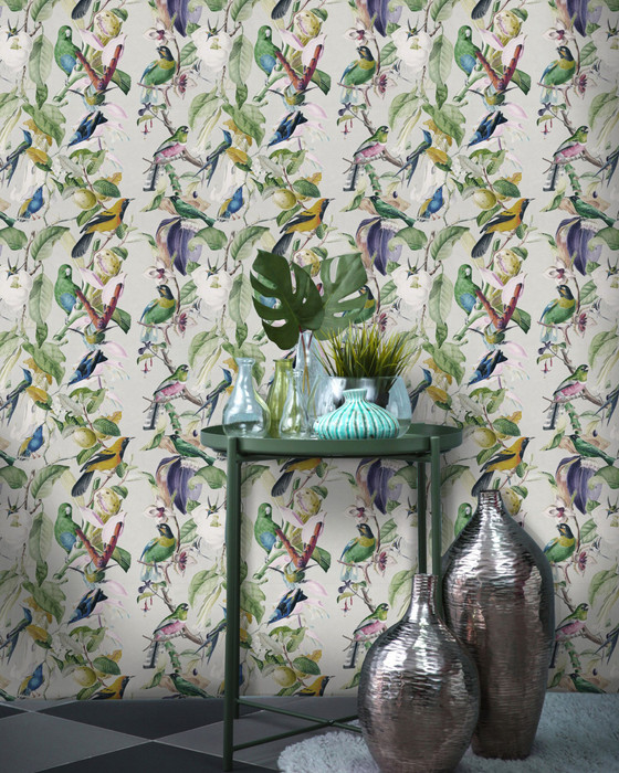 Tropical Birds