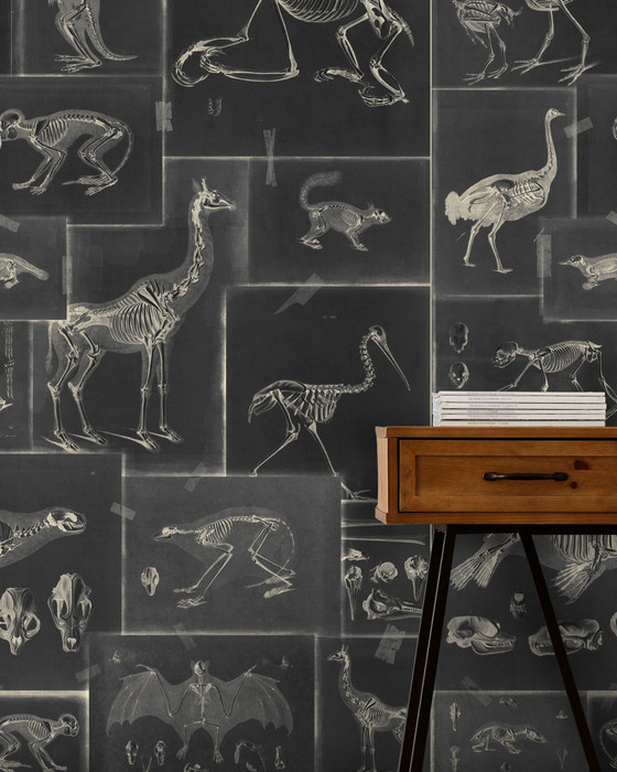 Zooarchaeology