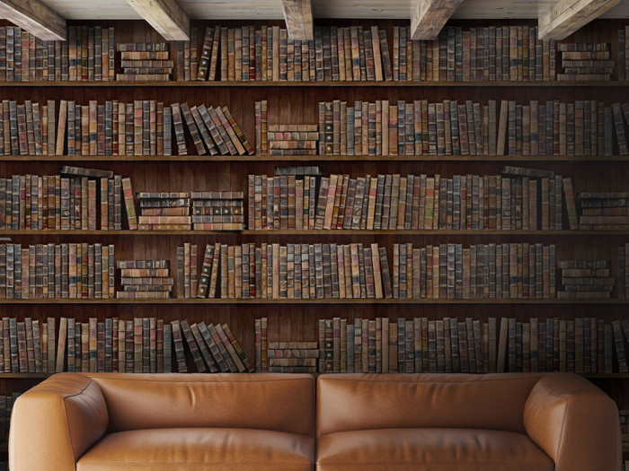Book Shelves
