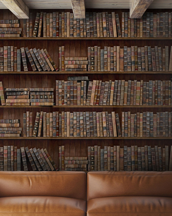 Book Shelves
