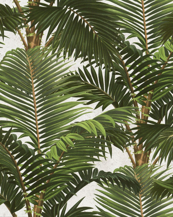 Jardin Tropical