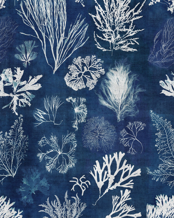 Algae - Navy Blue